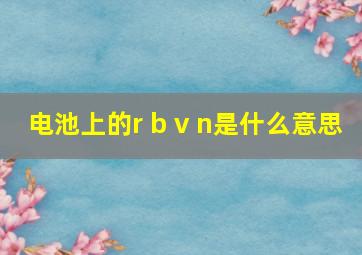 电池上的r b v n是什么意思